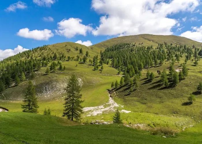 Apartment Tannenhaus Ii Gmund in Karnten